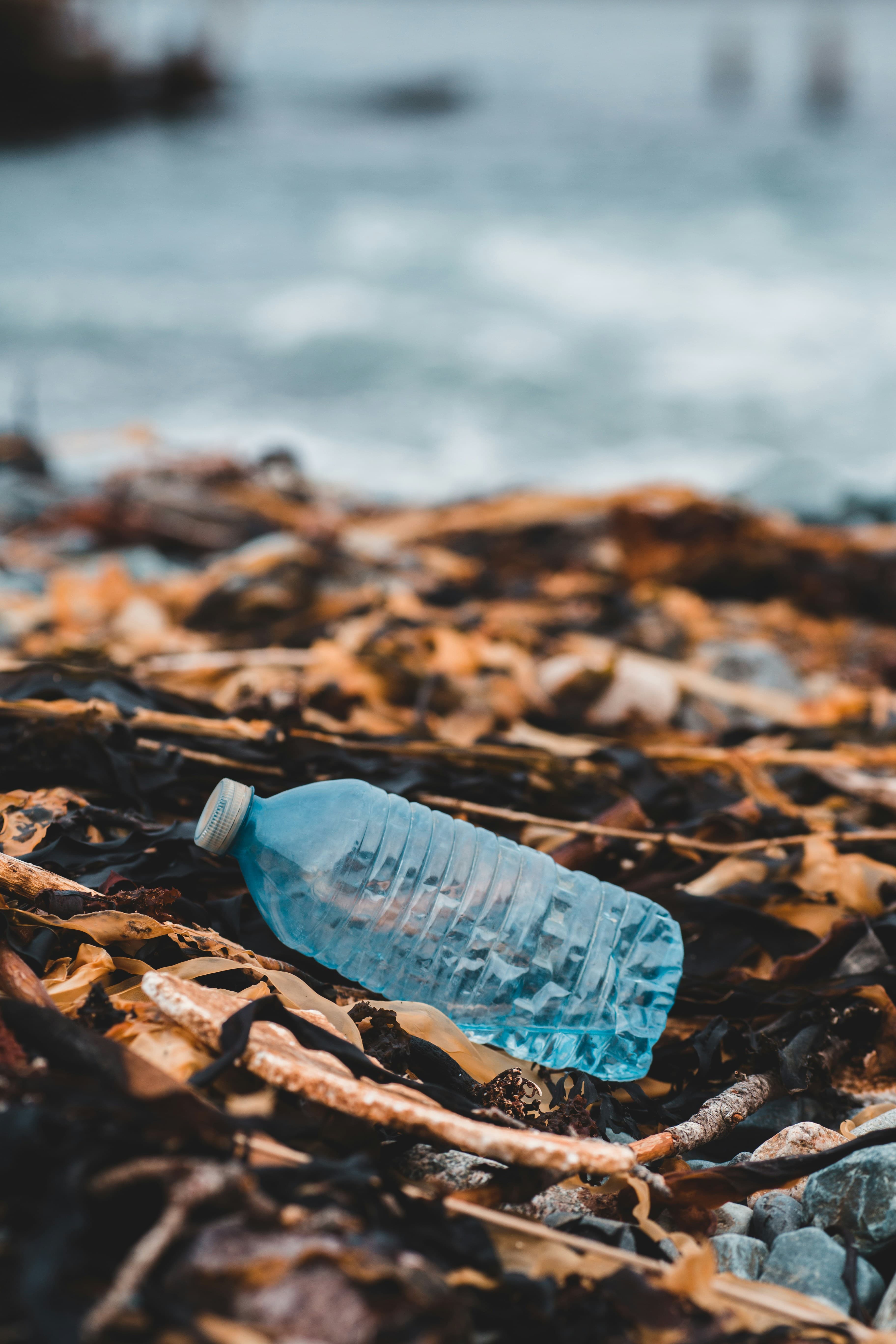 Discarded plastic bottle